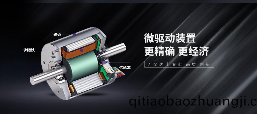 萬(wan)至(zhi)達無(wu)刷(shua)電(dian)機(ji)