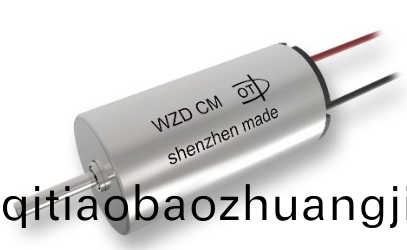 電動(dòng)(dong)牙刷(shua)空心桮電(dian)機(jī)