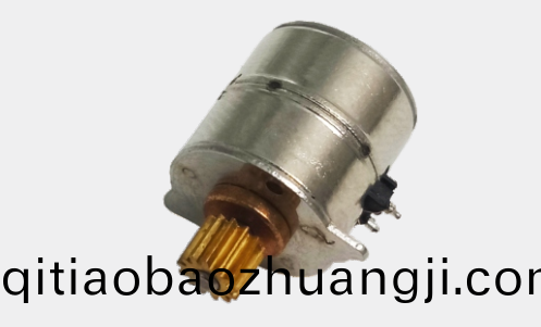 OT-SM10P-006步進(jìn)(jin)電機(jī)