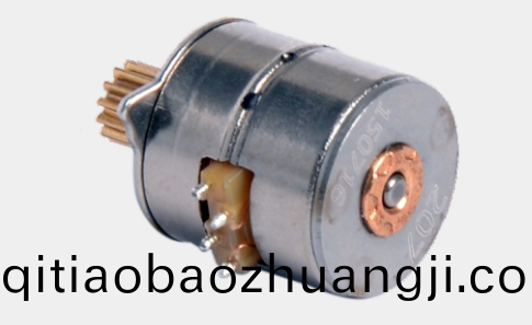 OT-SM10P-037步進(jìn)電(dian)機(jī)(ji)