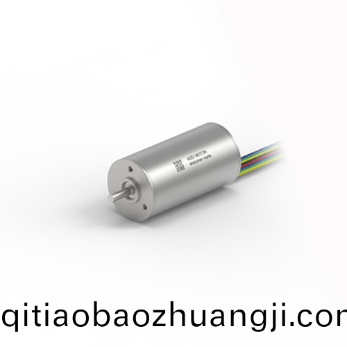 OT-ECS 2446無(wu)槽(cao)無刷(shua)直流(liu)電機