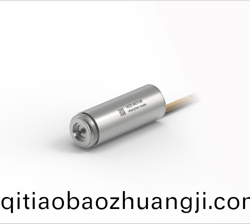 OT-ECS 1334無槽無刷(shua)直(zhi)流電機(ji)