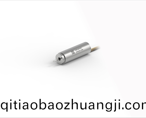 OT-ECS 0824無槽無(wu)刷直流電動(dong)機