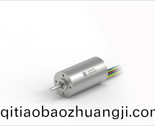 OT-ECS 3056無(wu)槽無刷直流(liu)電(dian)機(ji)