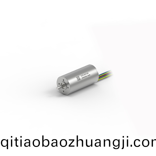 OT-ECS2245無槽無(wu)刷(shua)電機