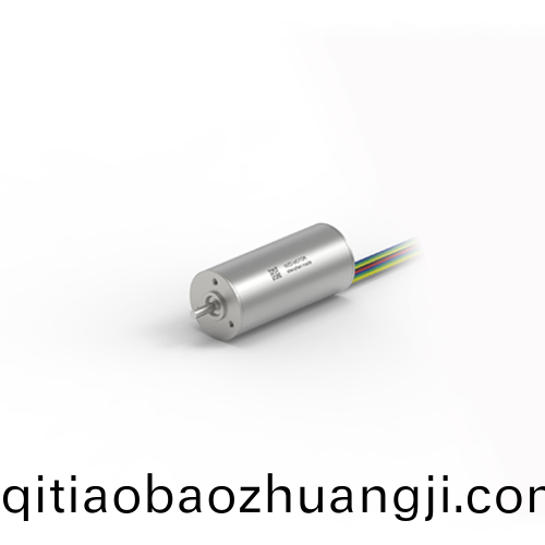 OT-ECS2453無槽(cao)無(wu)刷(shua)電(dian)機